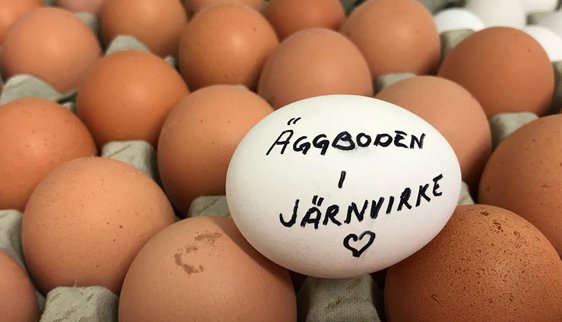 Färska ägg från frigående höns på Järnvirke Hönseri i Halland
